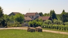 Il giuggiolo Conegliano